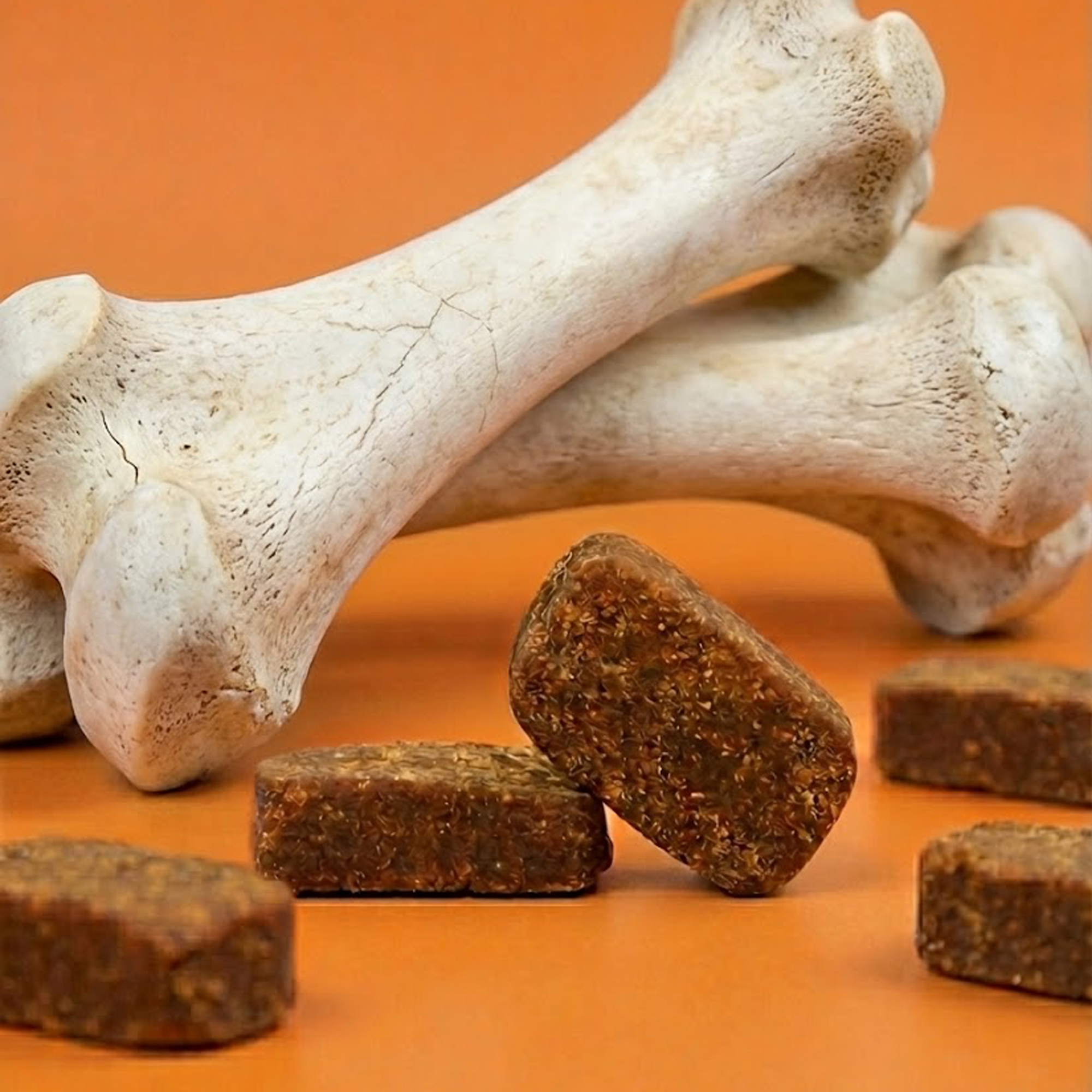 Advanced Hip & Joint Support For Senior Dogs